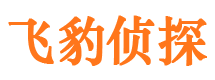 潼南市调查公司